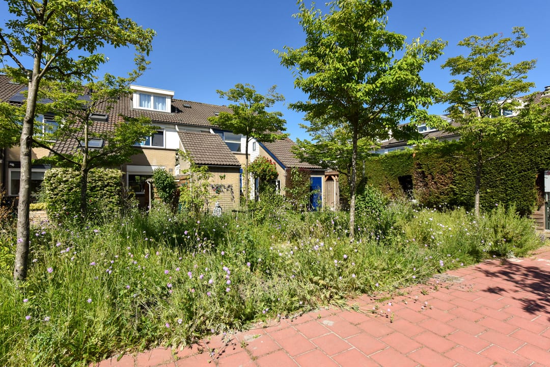 Foto 28 van Breeuwer 89