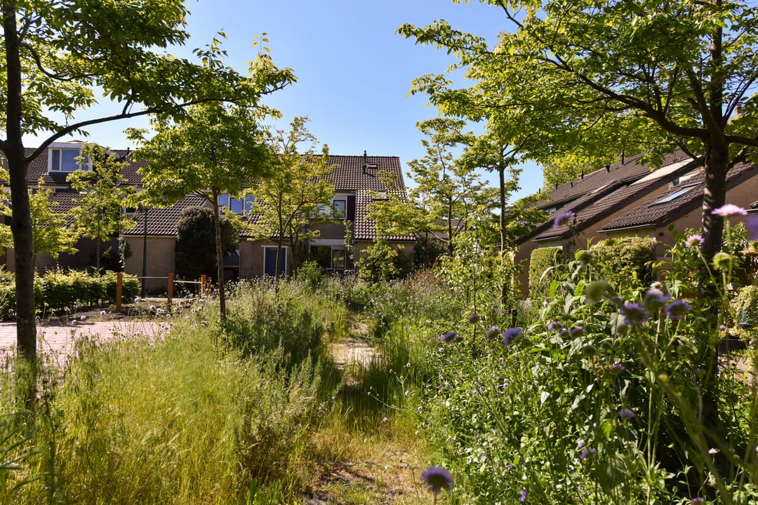 Foto 31 van Breeuwer 89