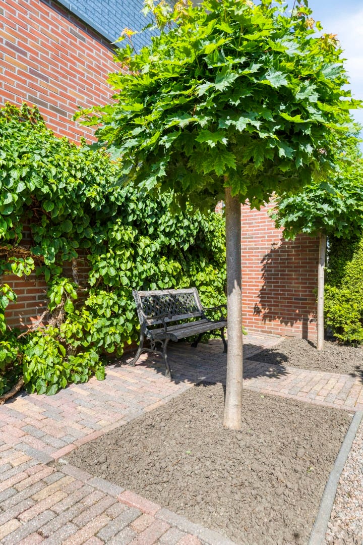 Foto 45 van Burgemeester van Engelenweg 115