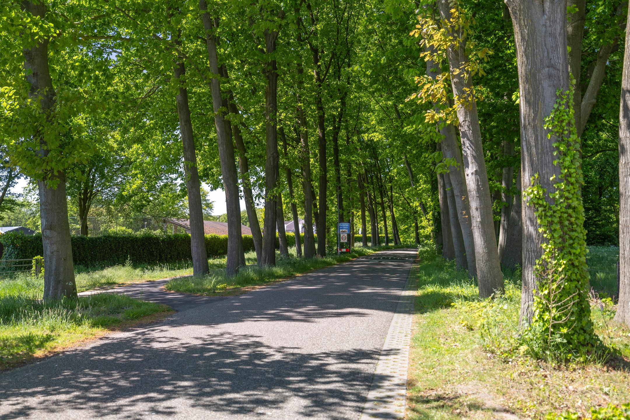 Foto 48 van Bussloselaan 9