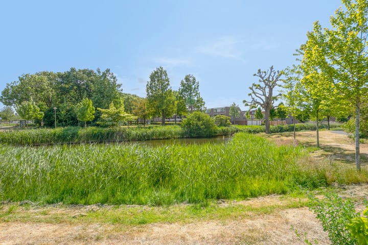 Foto 33 van Jeltje de Bosch Kemperstraat 15