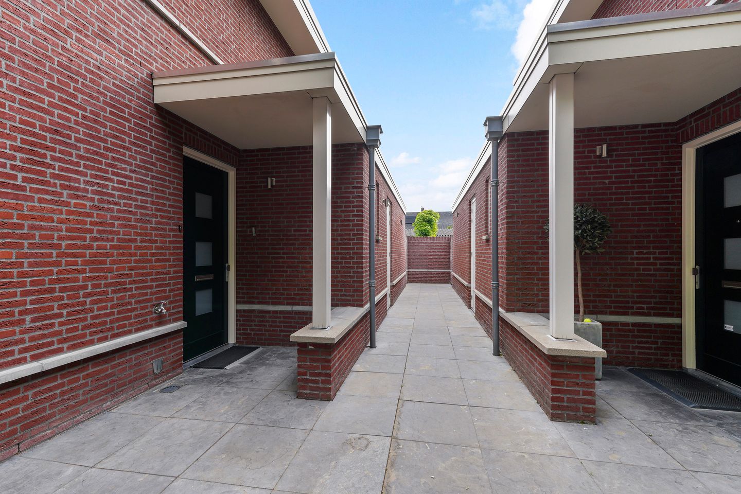 Foto 5 van Koningsvaren 3