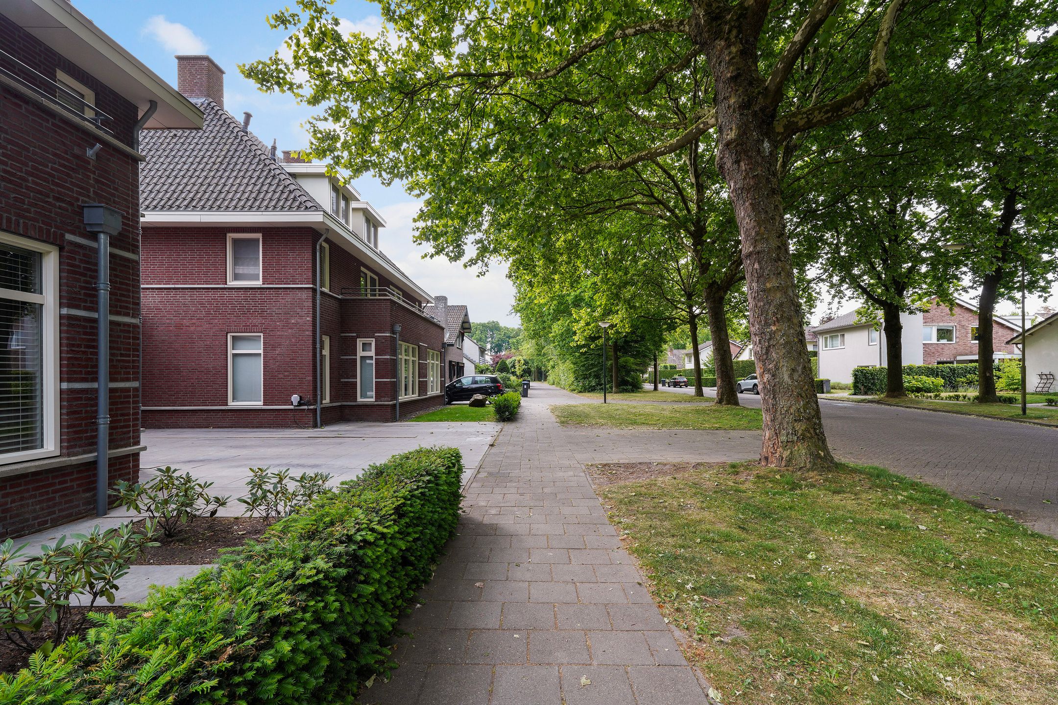 Foto 57 van Koningsvaren 3