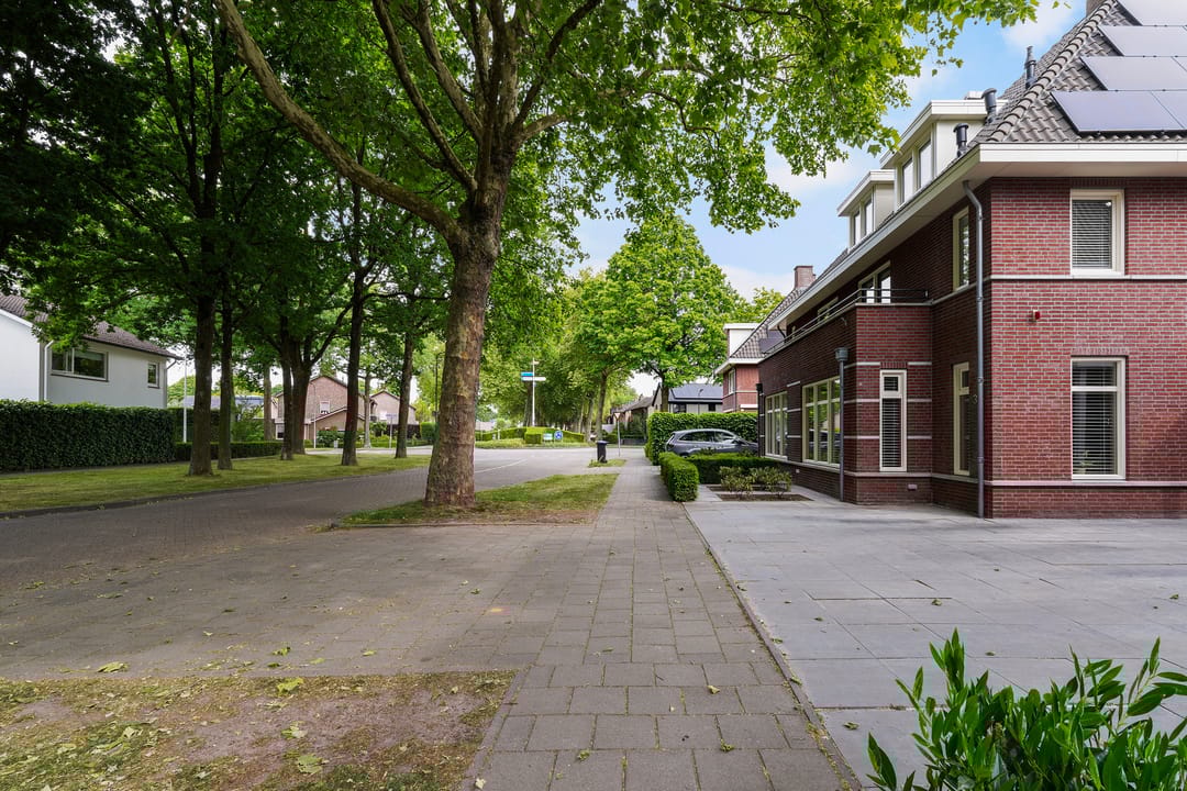 Foto 58 van Koningsvaren 3