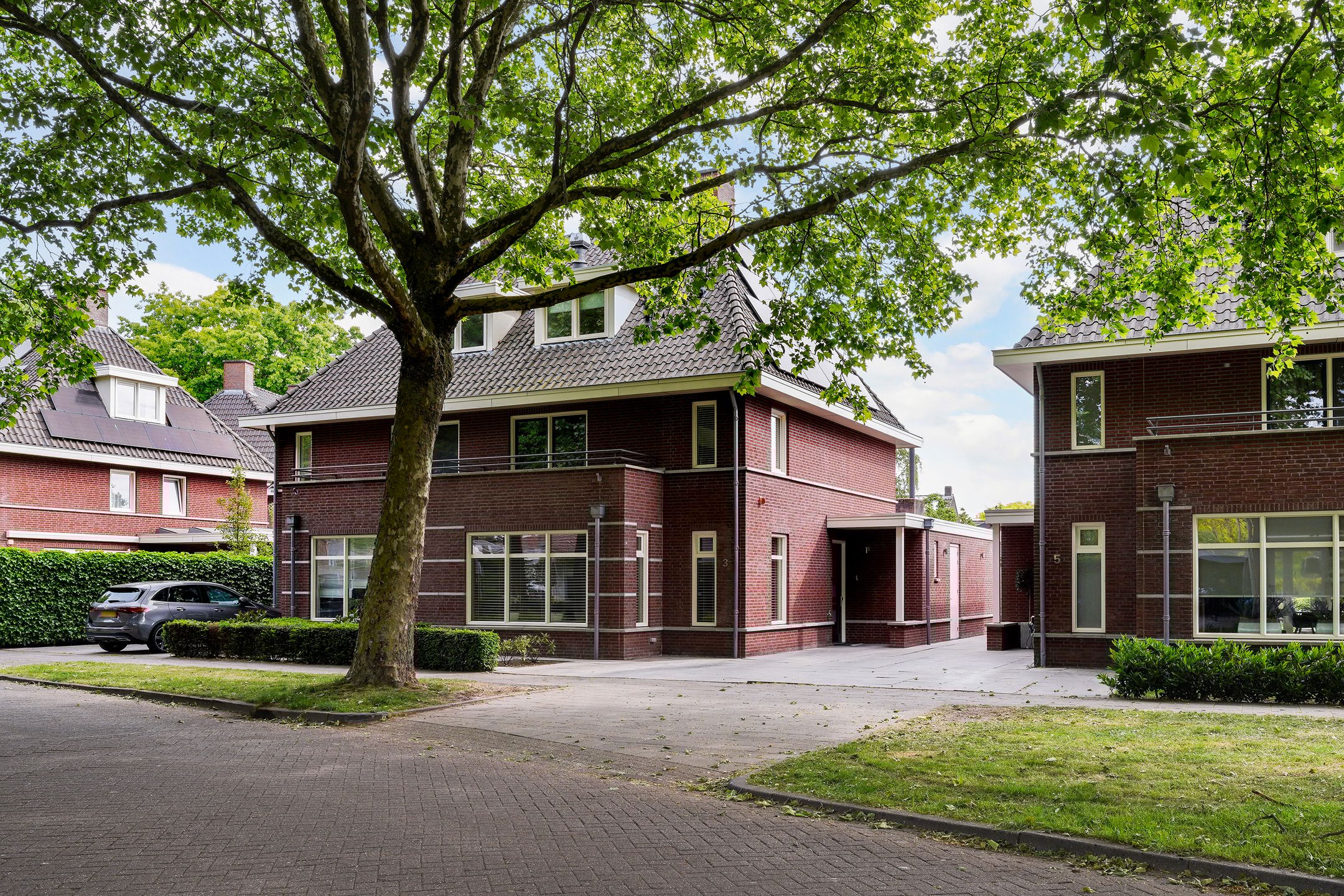 Foto 60 van Koningsvaren 3