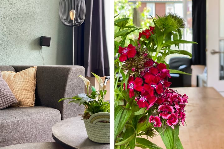 Foto 13 van Soembastraat 57