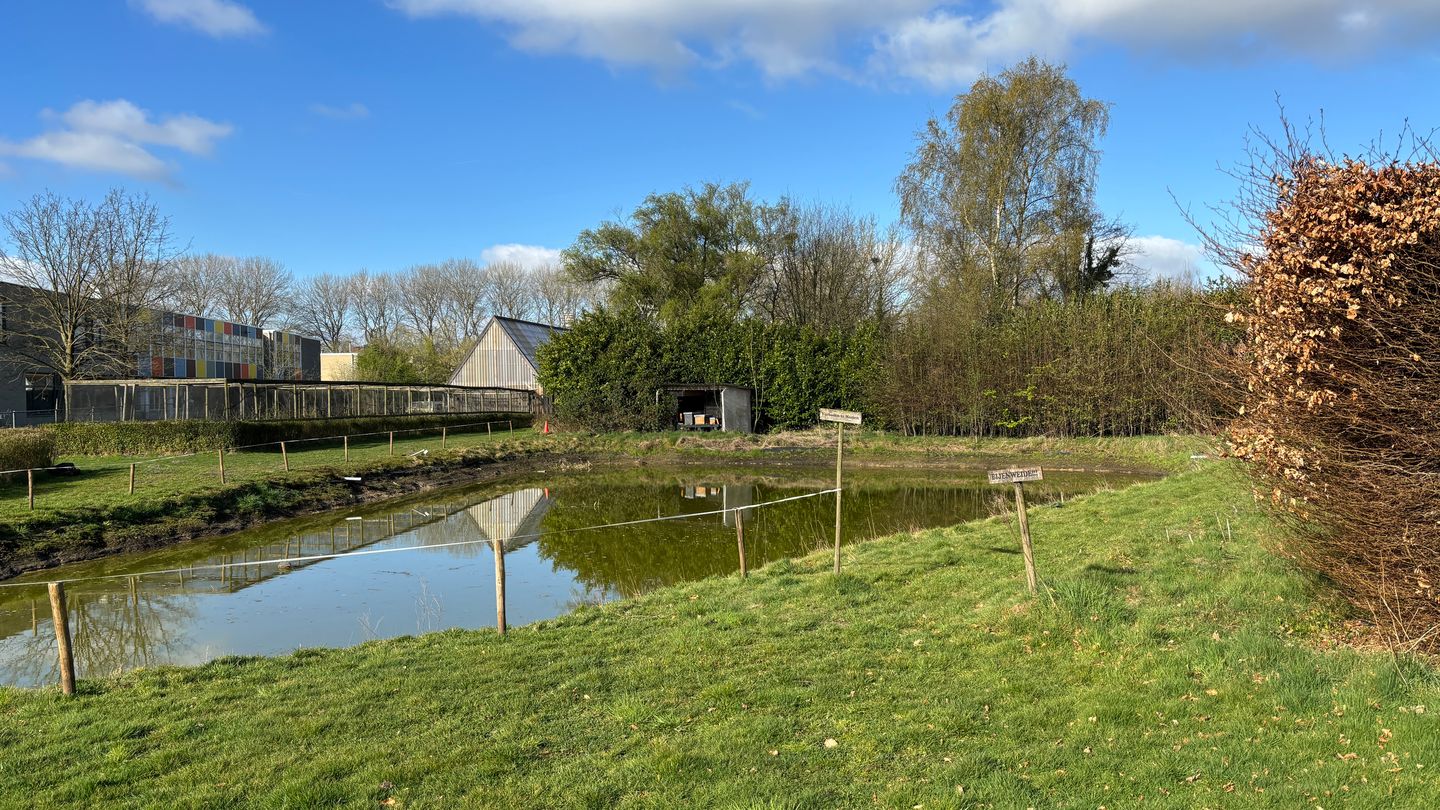 Foto 4 van Zundertseweg 6