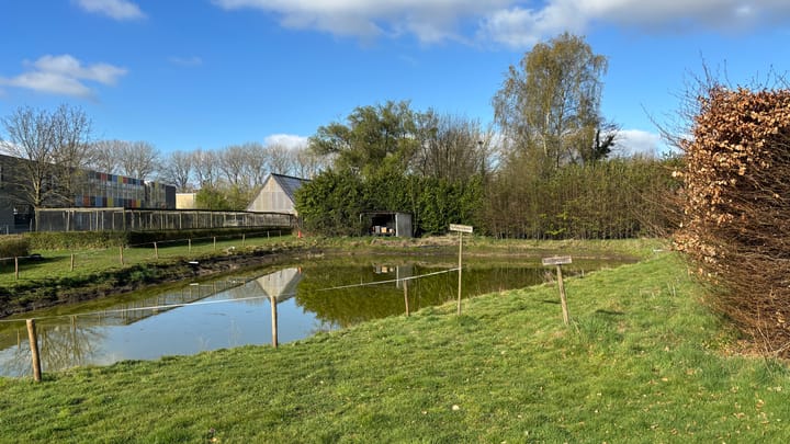 Foto 4 van Zundertseweg 6