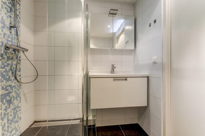 Foto 45 van Salvialaan 53