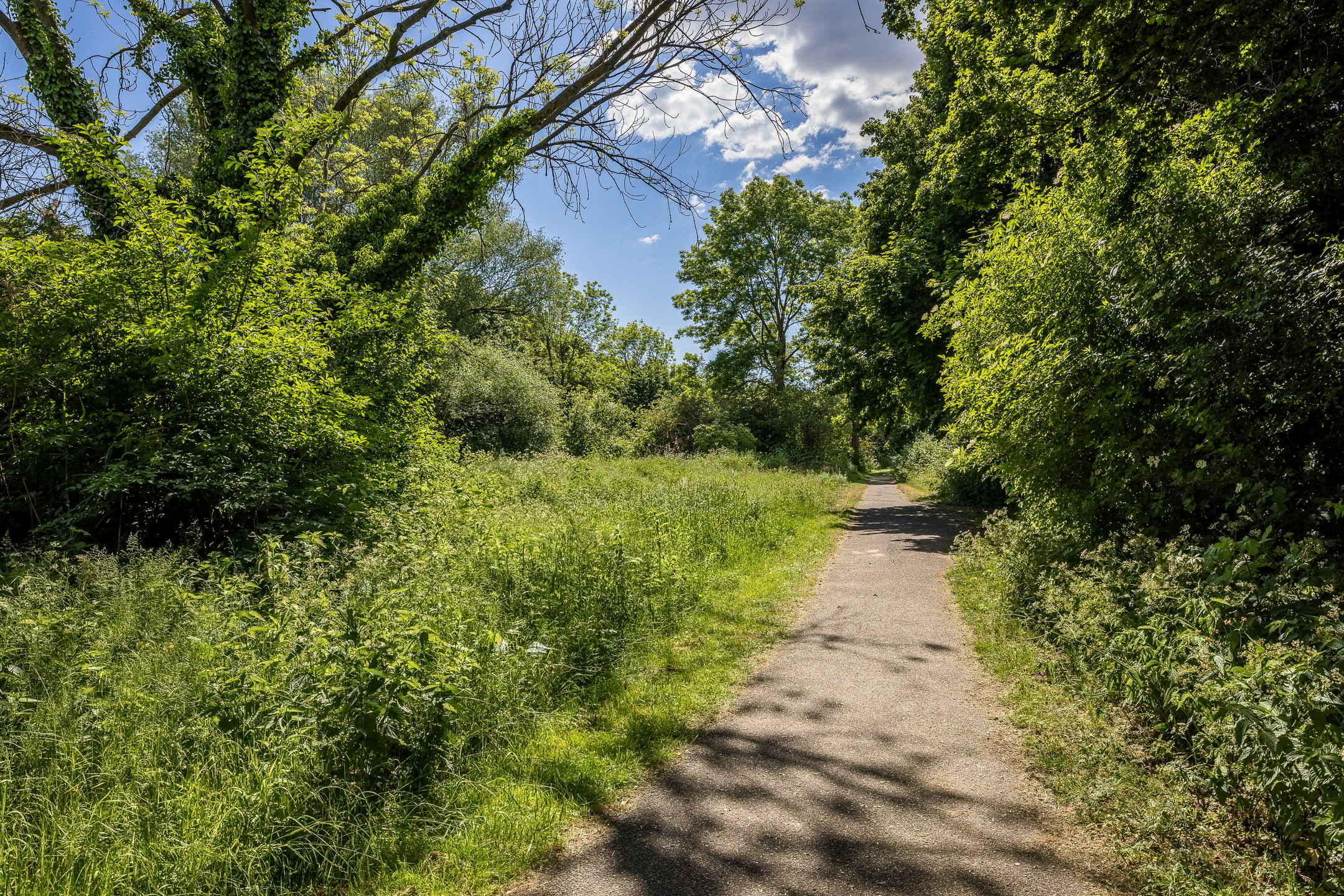 Foto 39 van Dijkhoeve 5-06