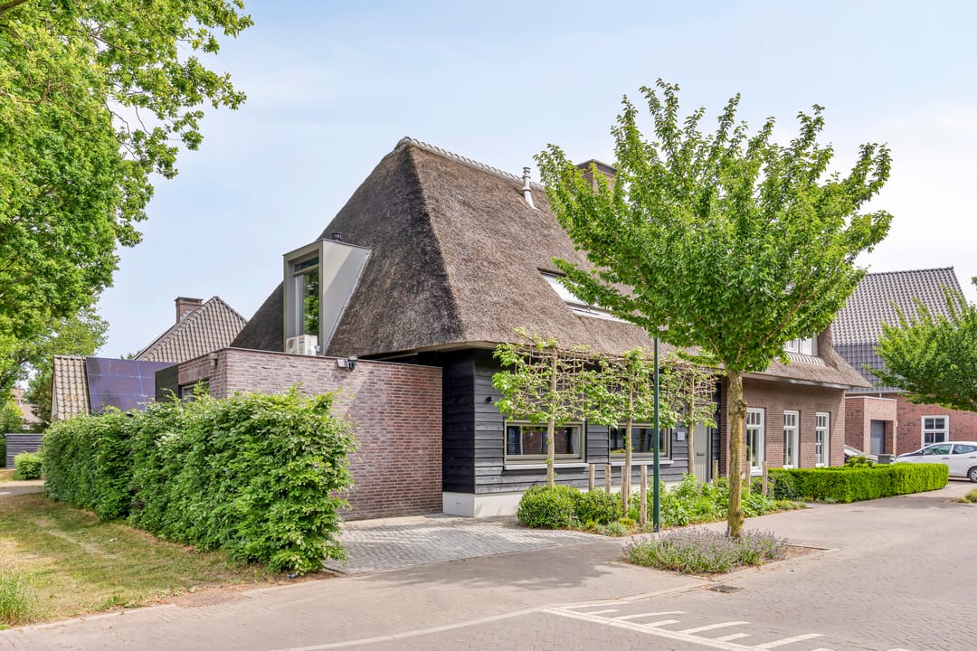 Foto 1 van Welpenheuvel 2