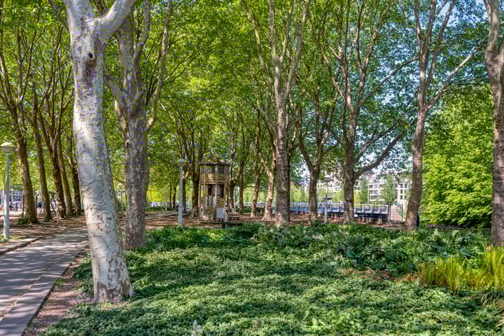 Foto 20 van Surinameplein 50-4