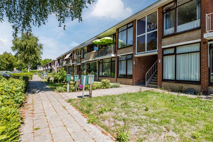 Photo 3 of Apollolaan 14