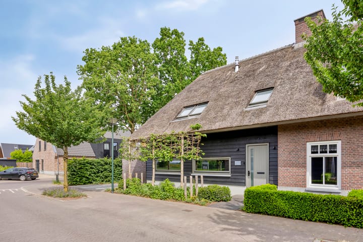 Foto 50 van Welpenheuvel 2