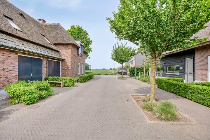 Foto 51 van Welpenheuvel 2