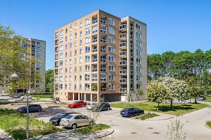 Foto 1 van Hermelijnvlinder 165