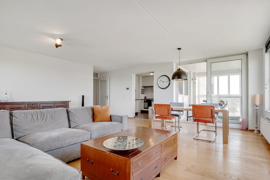 Foto 2 van Hermelijnvlinder 165