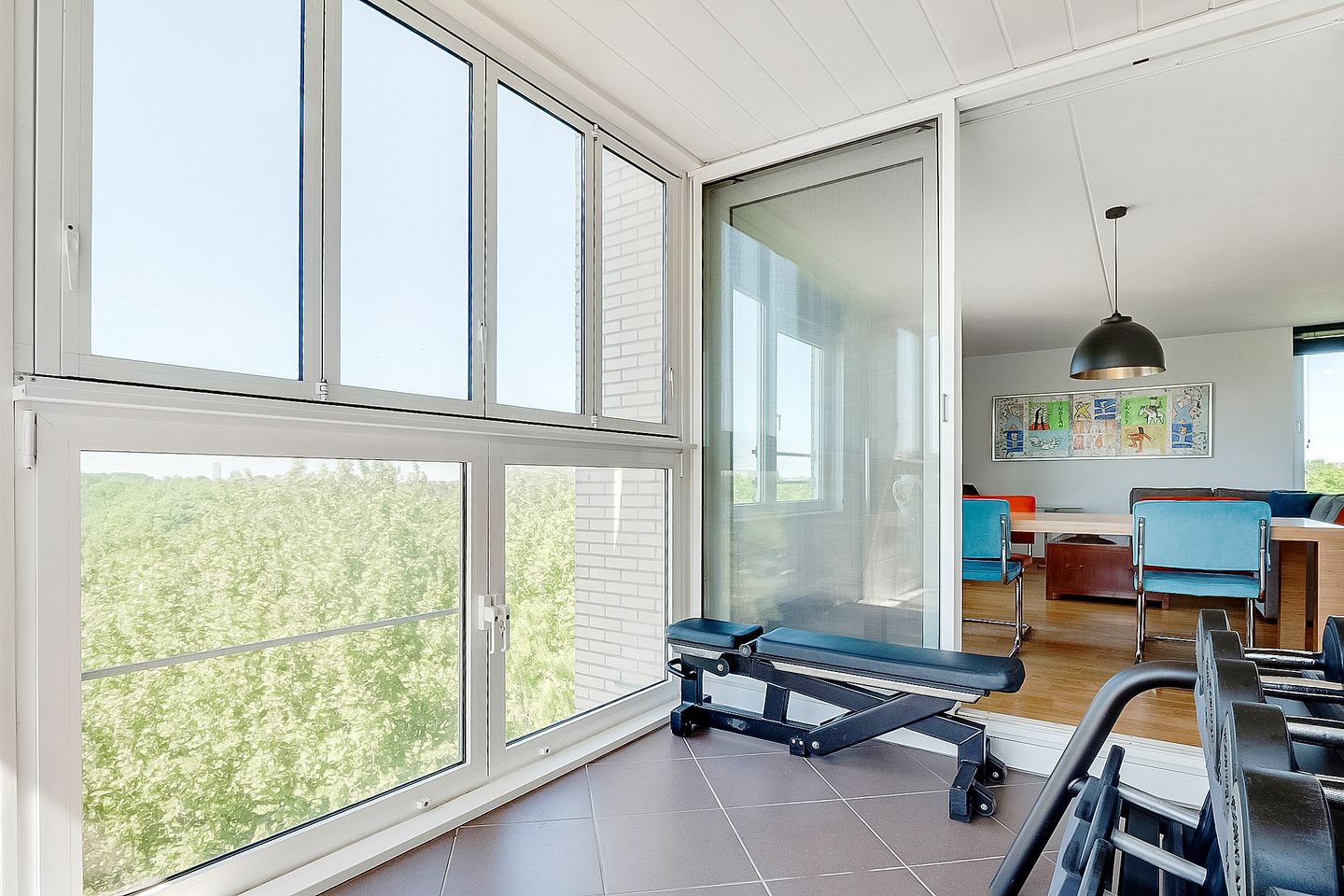 Foto 4 van Hermelijnvlinder 165