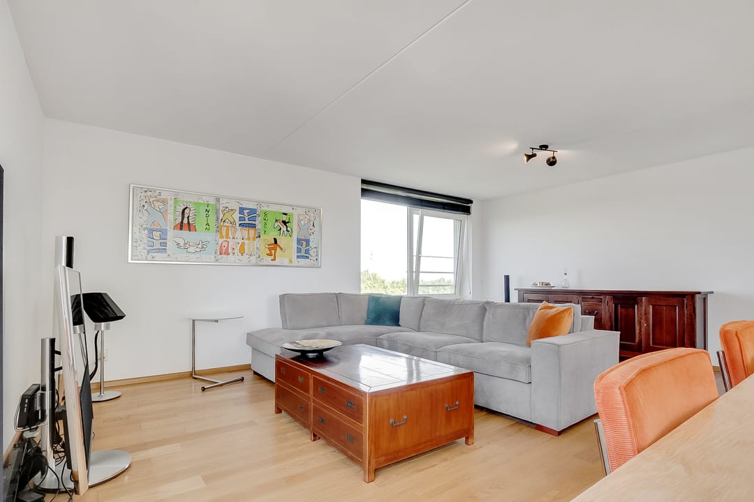 Foto 7 van Hermelijnvlinder 165