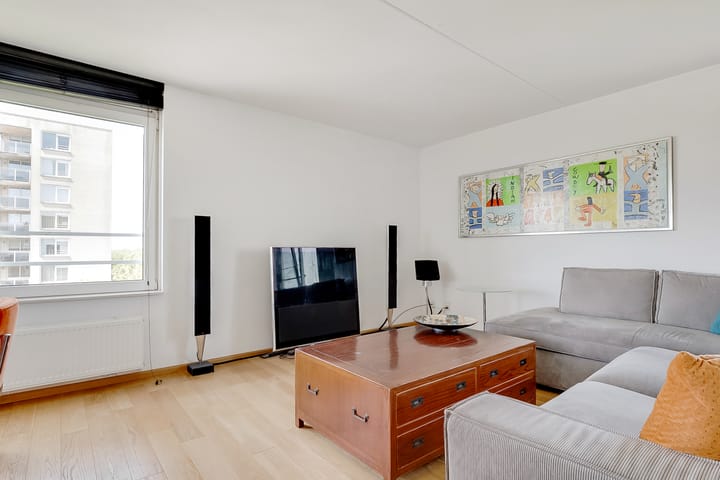 Foto 9 van Hermelijnvlinder 165