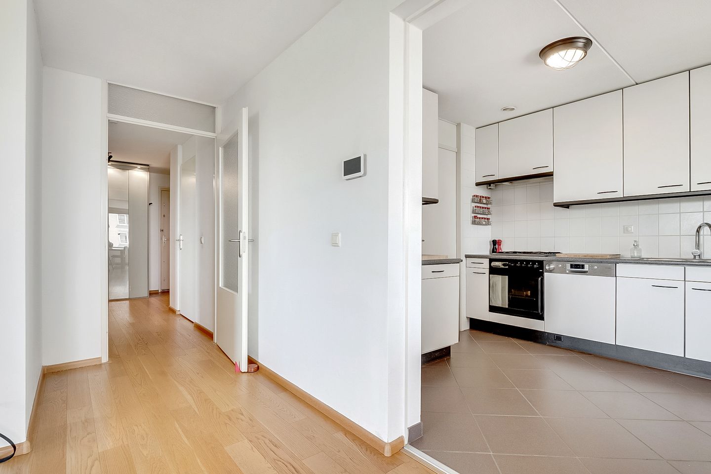 Foto 14 van Hermelijnvlinder 165