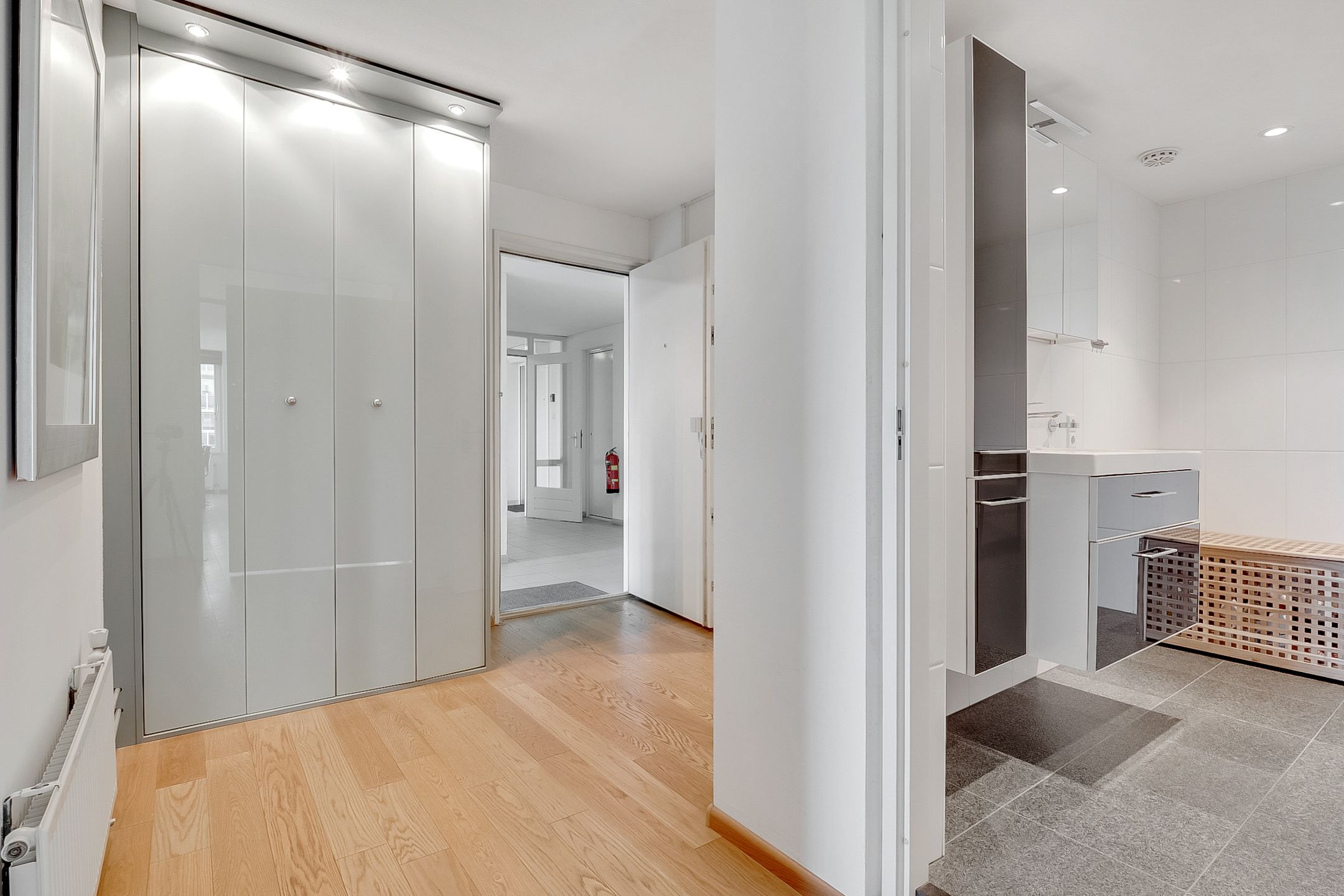 Foto 18 van Hermelijnvlinder 165