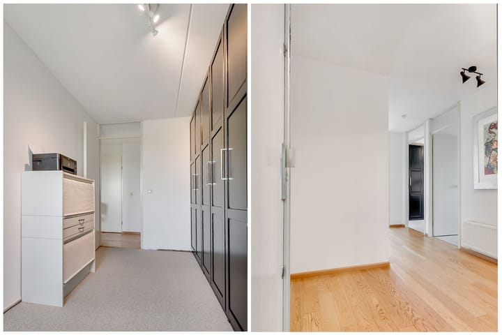 Foto 20 van Hermelijnvlinder 165