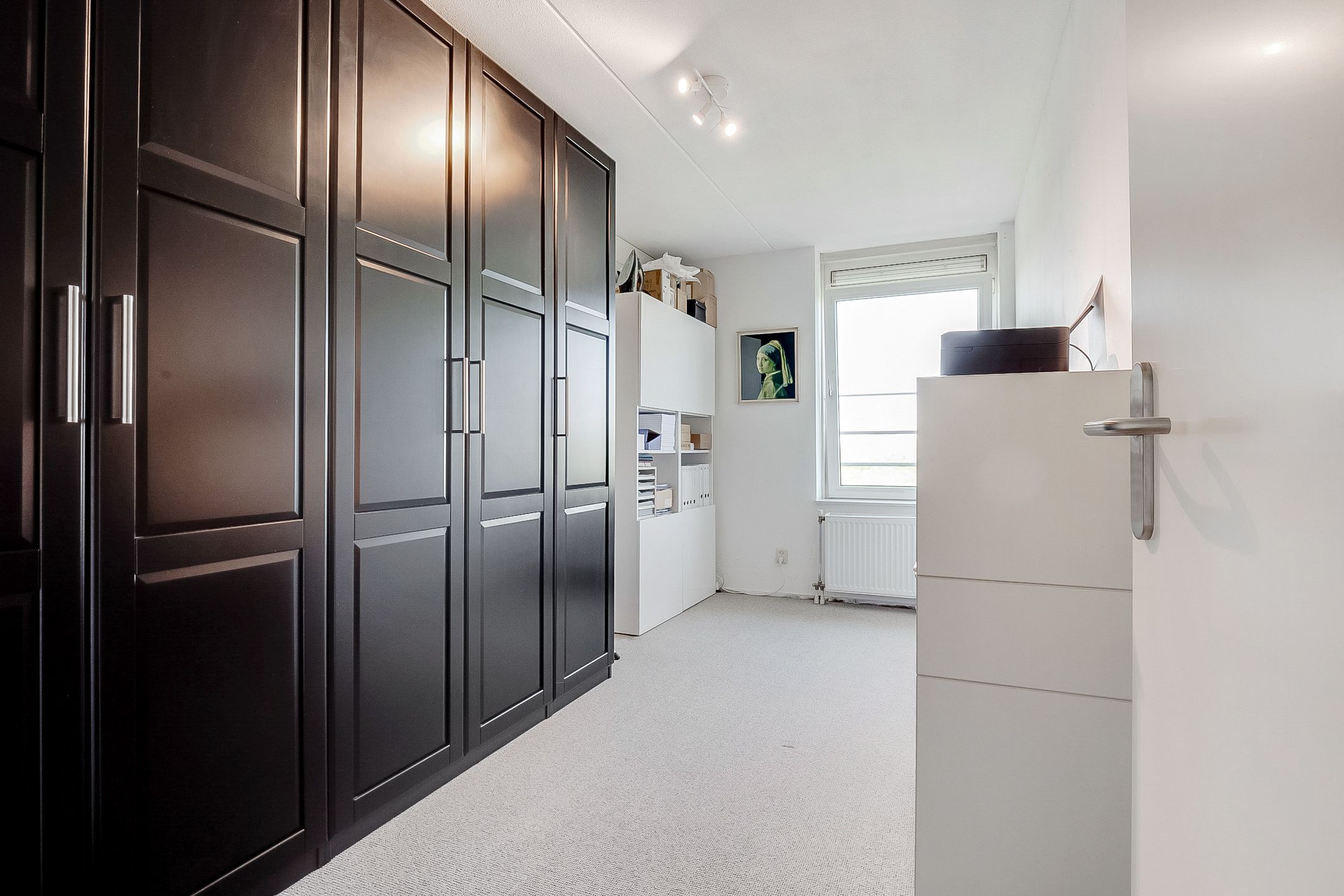 Foto 21 van Hermelijnvlinder 165