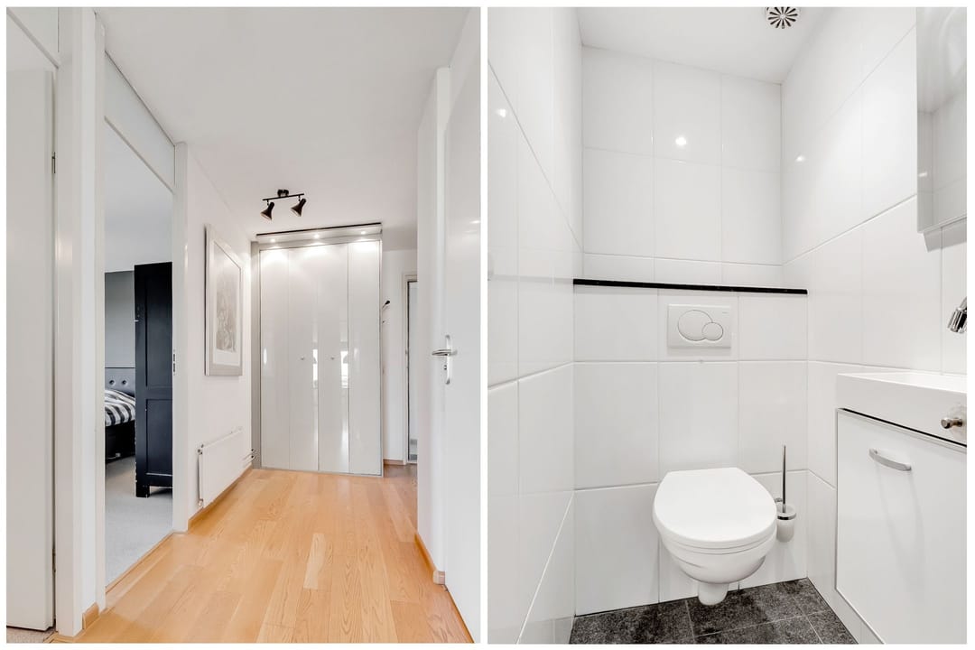 Foto 22 van Hermelijnvlinder 165