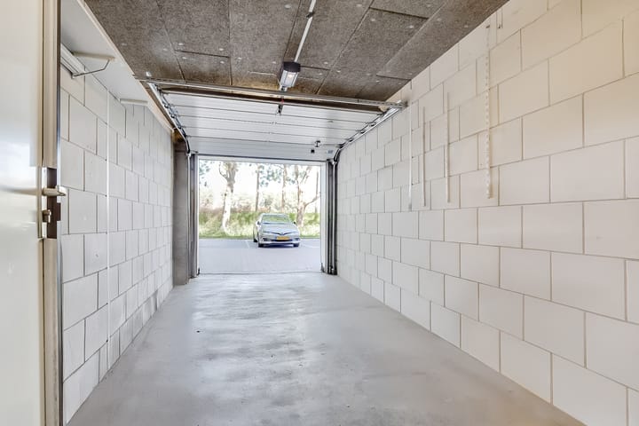 Foto 24 van Hermelijnvlinder 165