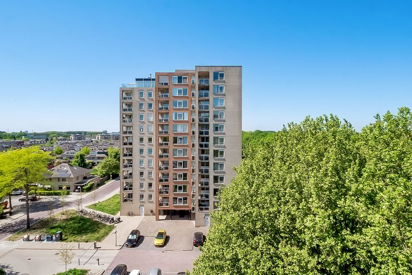 Foto 25 van Hermelijnvlinder 165