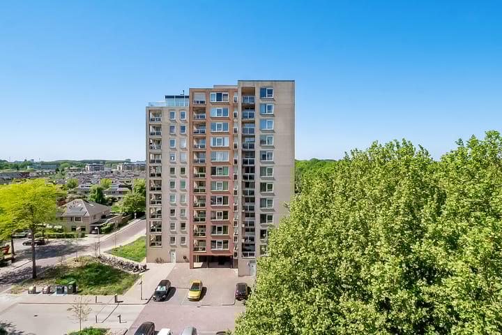 Foto 25 van Hermelijnvlinder 165