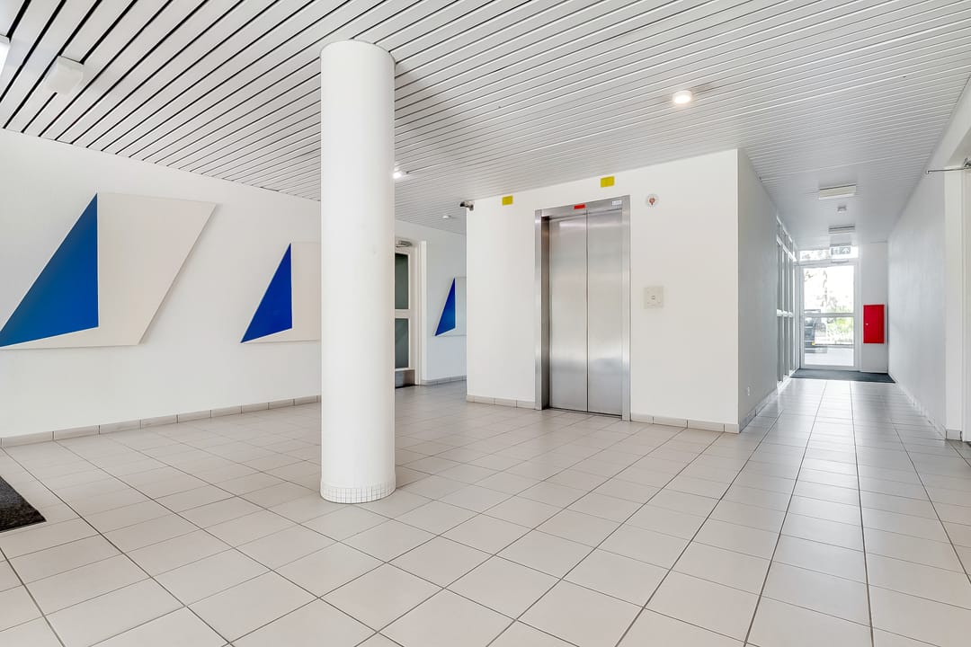 Foto 26 van Hermelijnvlinder 165