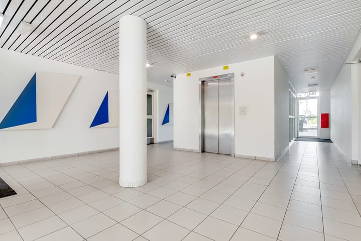 Foto 26 van Hermelijnvlinder 165