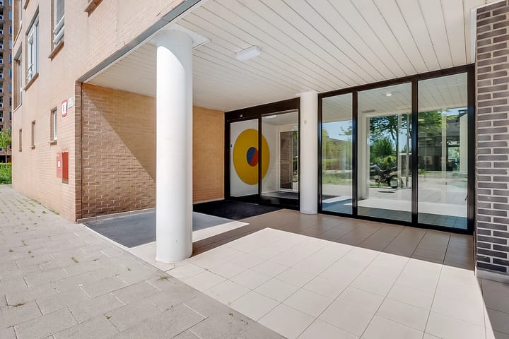 Foto 27 van Hermelijnvlinder 165