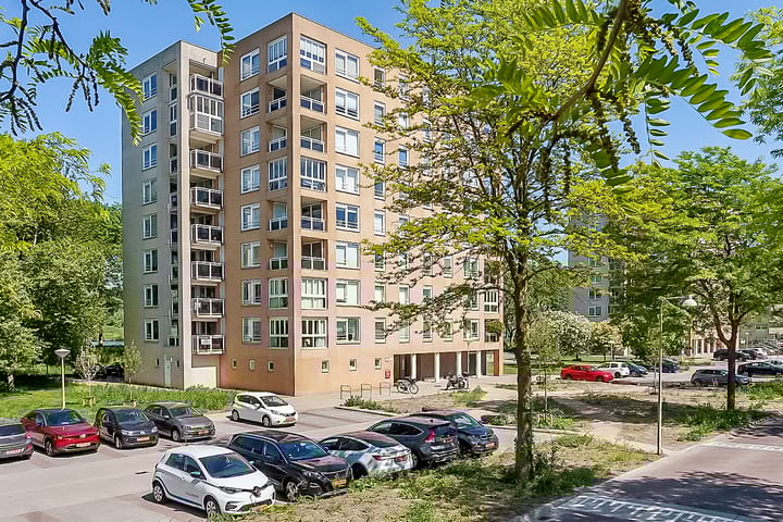 Foto 29 van Hermelijnvlinder 165