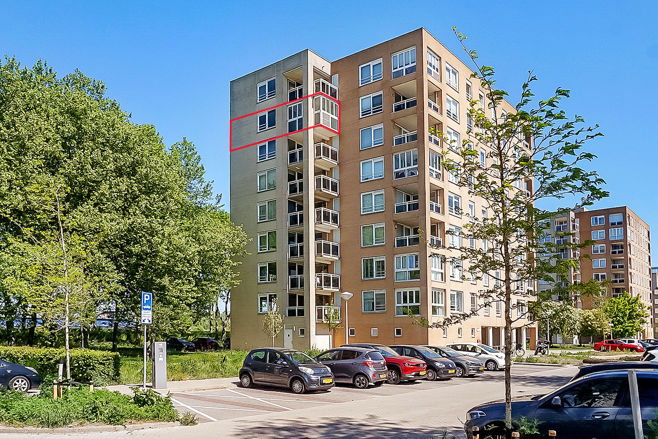 Foto 30 van Hermelijnvlinder 165