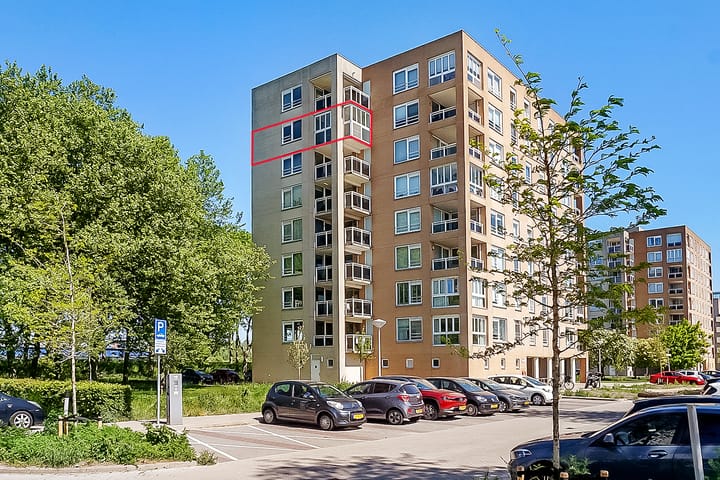 Foto 30 van Hermelijnvlinder 165