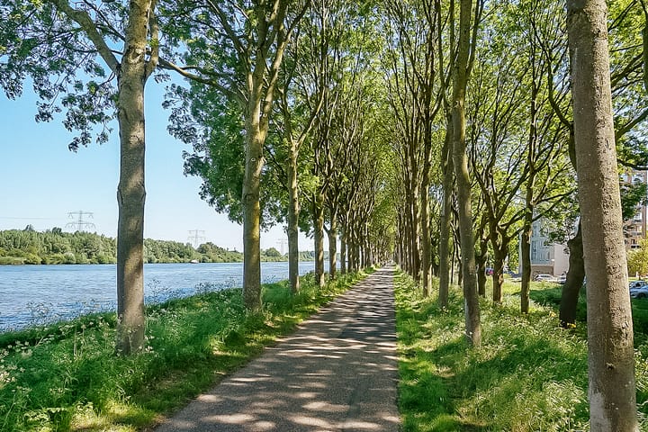 Foto 31 van Hermelijnvlinder 165