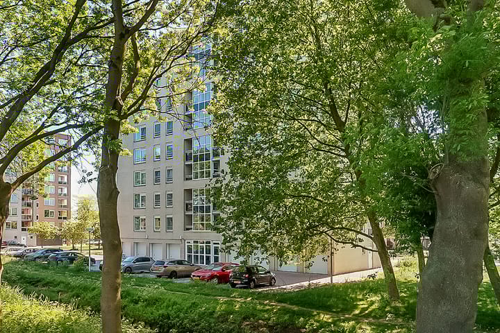 Foto 32 van Hermelijnvlinder 165