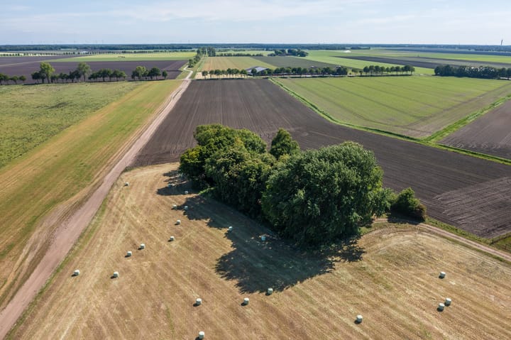 Foto 5 van Molenkampweg 5