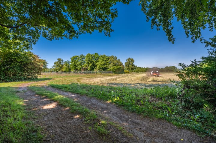 Foto 10 van Molenkampweg 5