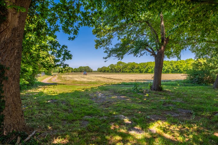 Foto 11 van Molenkampweg 5