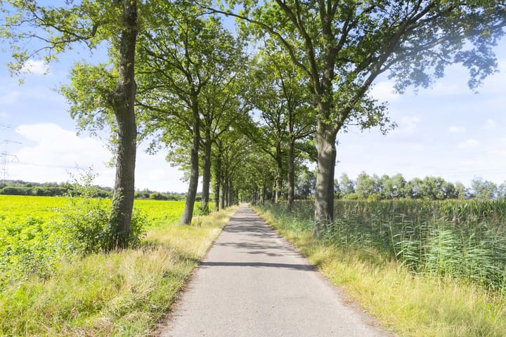 Photo 9 of Brandsbeemdseweg bouwkavel 3