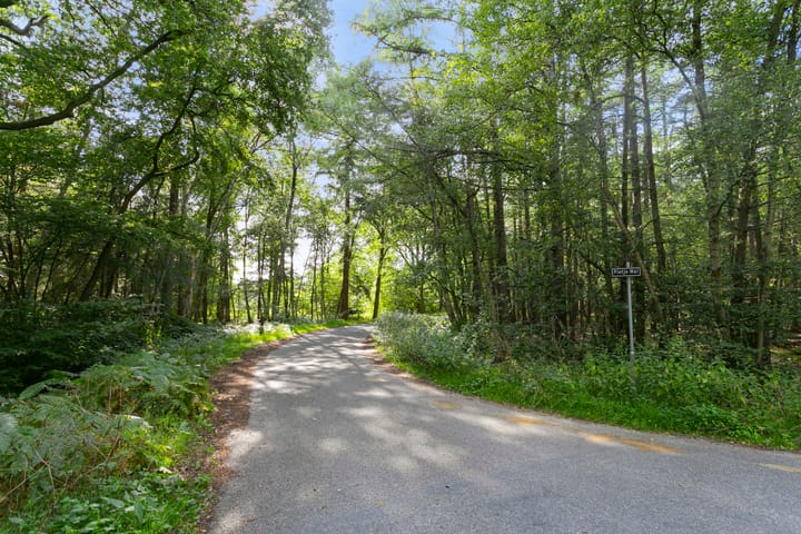 Photo 12 of Brandsbeemdseweg bouwkavel 3