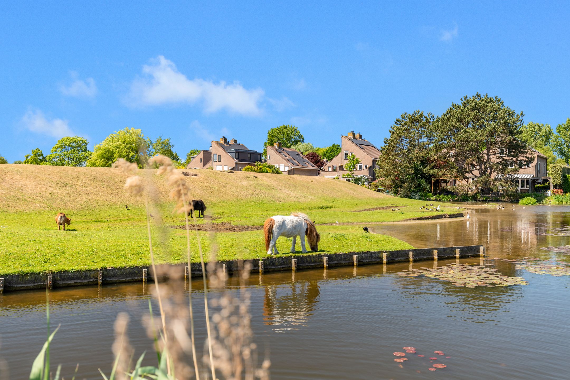 Foto 48 van Rijksstraatweg 16