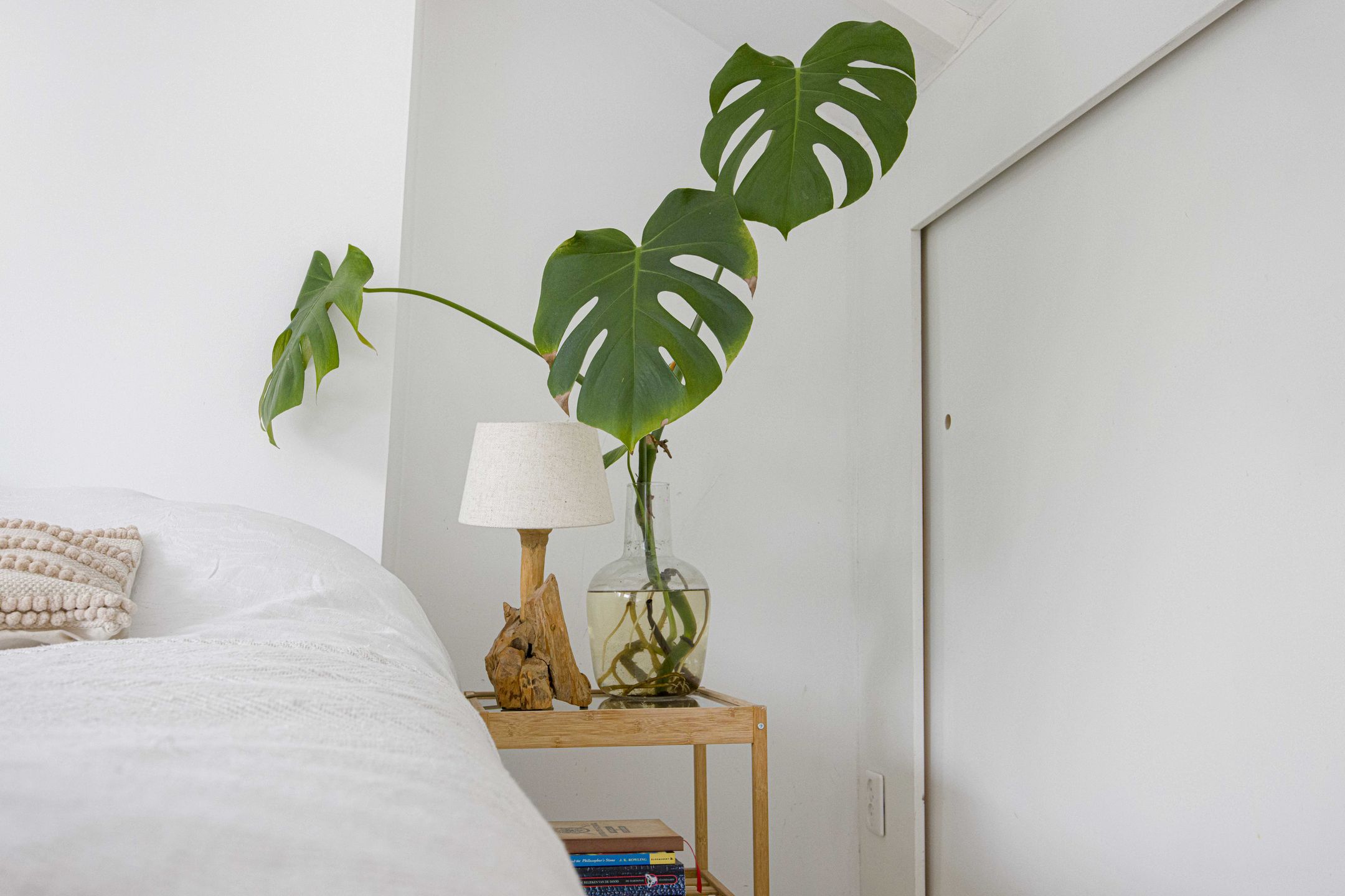 Photo 39 of Diederichslaan 2-B