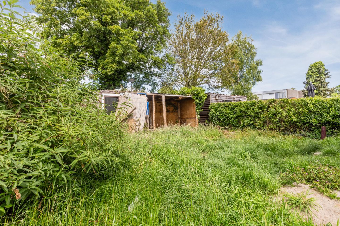 Foto 34 van Kempenaar 16 40