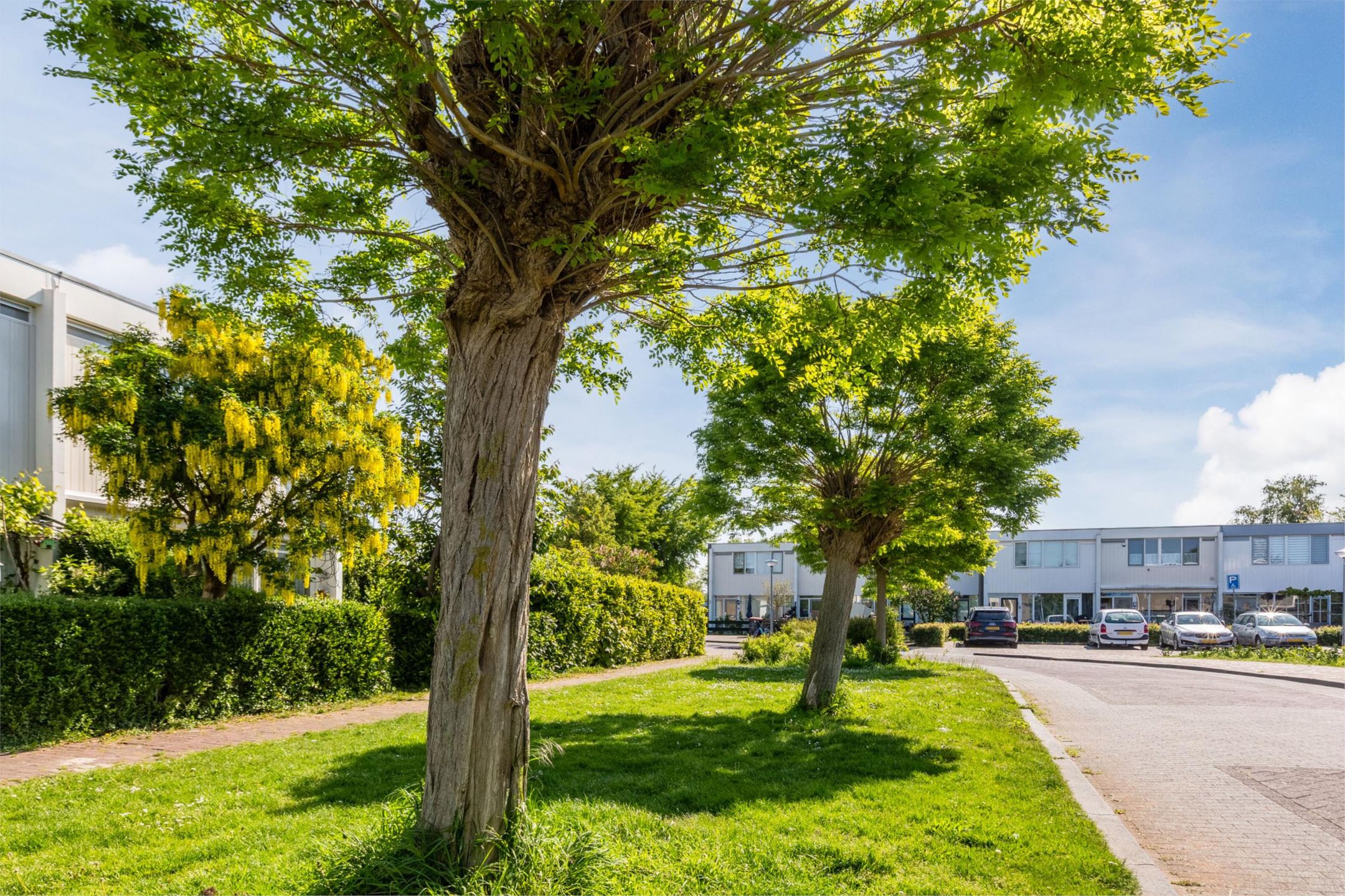 Foto 36 van Kempenaar 16 40