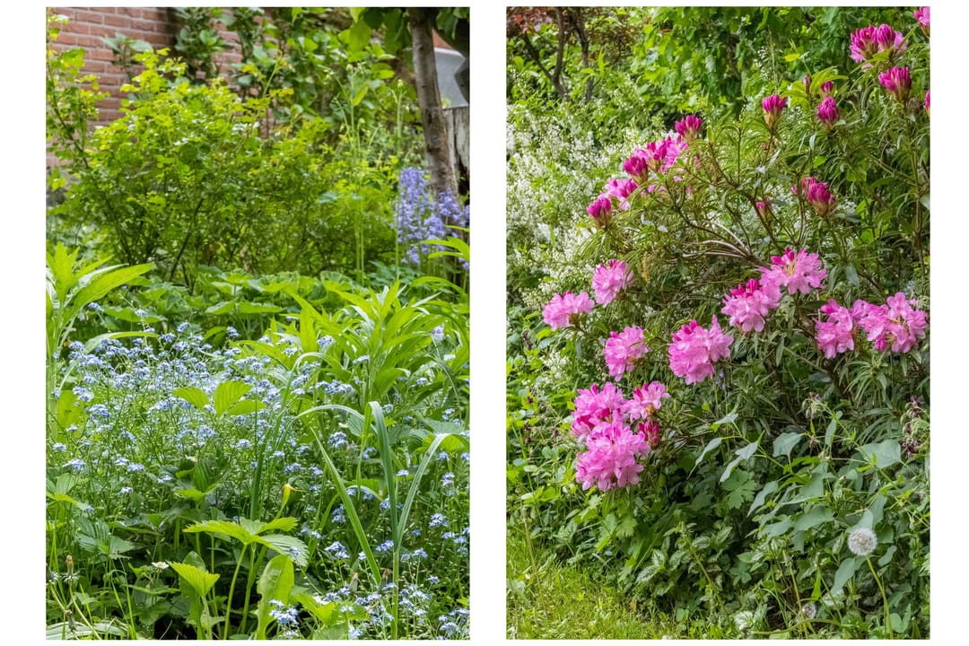 Photo 61 of Diederichslaan 2-B